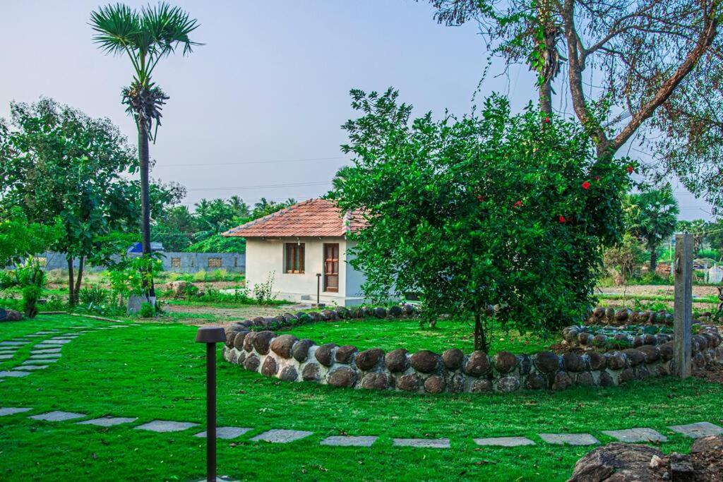 Holy Mountain Villa - Тіруваннамалай Екстер'єр фото